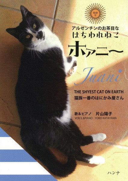 アルゼンチンのお茶目なはちわれねこホァニー 猫族一番のはにかみ屋さん
