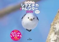 もふっとシマエナガ 卓上カレンダー2026