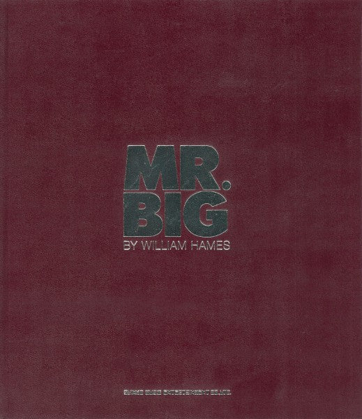 MR.BIG写真集