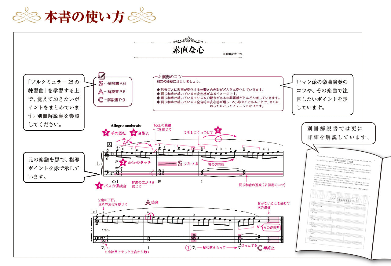 ブルクミュラー25の練習曲 ロマン派の作品の指導法