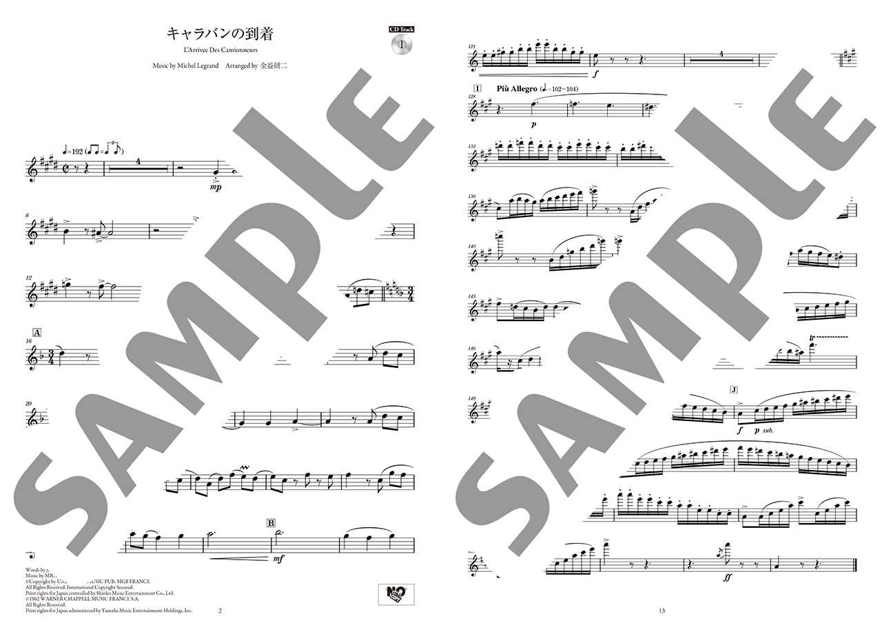 フルート コンサート・レパートリー~ステージを彩る華やかアレンジ