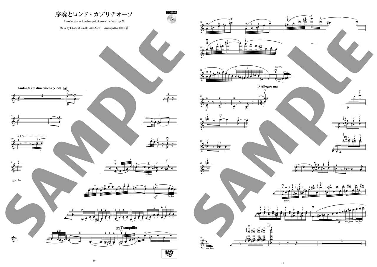 バイオリン コンサート・レパートリー~ステージを彩る華やかアレンジ