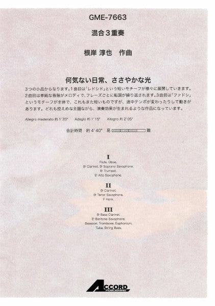 混合３重奏　何気ない日常、ささやかな光（根岸淳也）