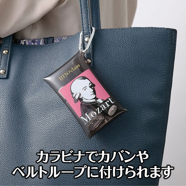 イジンクラス クリアマルチケース(モーツァルト)
