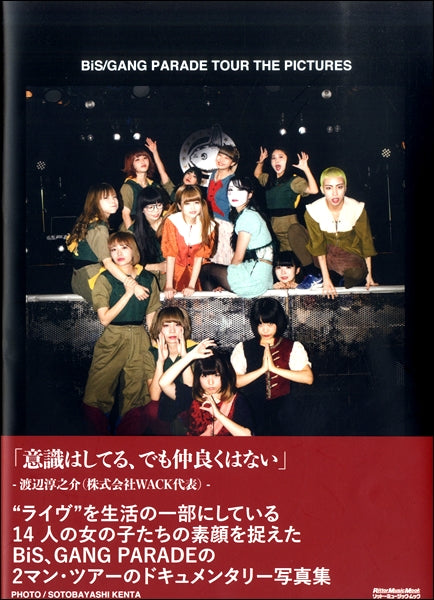 ＢｉＳ／ＧＡＮＧ　ＰＡＲＡＤＥ　ＴＯＵＲ　ＴＨＥ　ＰＩＣＴＵＲＥＳ