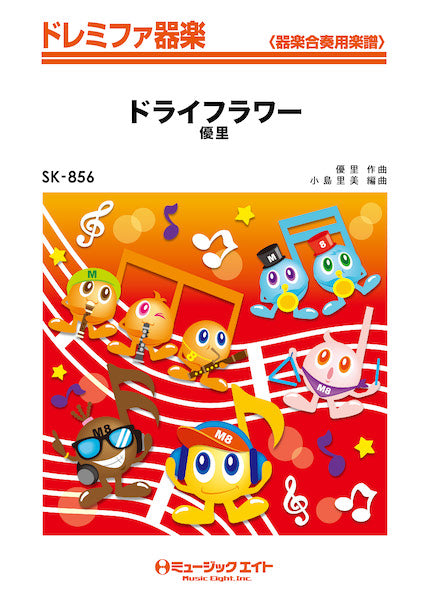 ＳＫ８５６　ドレミファ器楽　ドライフラワー