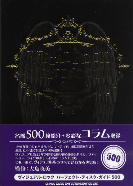 ＶＩＳＵＡＬ　ＲＯＣＫ　ＰＥＲＦＥＣＴ　ＤＩＳＣ　ＧＵＩＤＥ　５００
