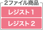 レジスト（レジスト1／レジスト2）